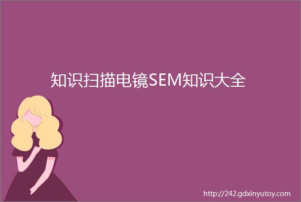 知识扫描电镜SEM知识大全