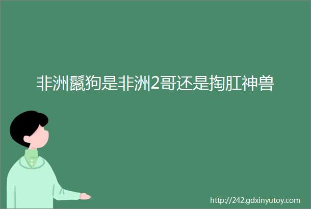 非洲鬣狗是非洲2哥还是掏肛神兽